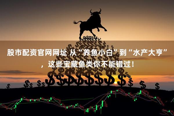 股市配资官网网址 从“养鱼小白”到“水产大亨”，这些宝藏鱼类你不能错过！