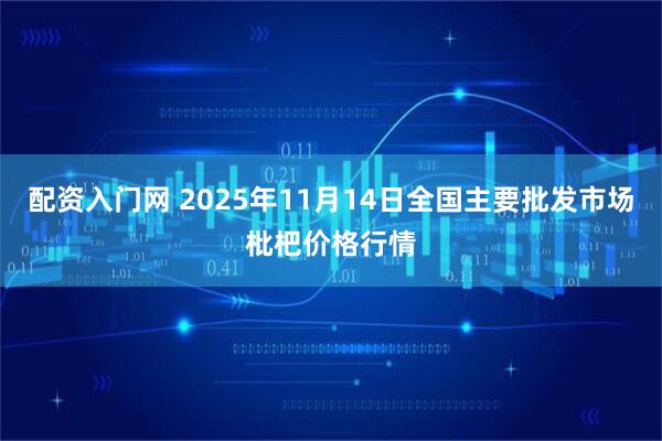 配资入门网 2025年11月14日全国主要批发市场枇杷价格行情